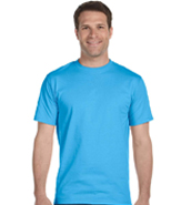 HANES BEEFY T
