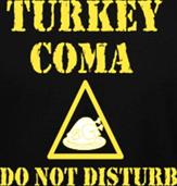TURKEY COMA: DO NOT DISTURB t-shirt design idea