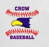 CROW BASEBALL t-shirt design idea