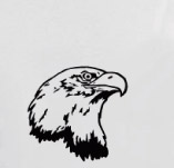 EAGLE HEAD t-shirt design idea