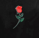 BACHELOR t-shirt design idea