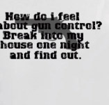 HOW DO I FEEL ABOUT GUN CONTROL? t-shirt design idea